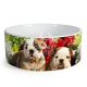 Dog Bowl Ceramic